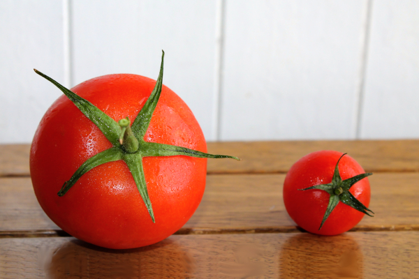 large and small tomatoes