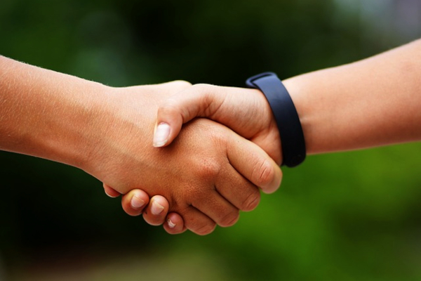 people shaking hands