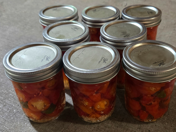 CANNED JALEPENOS