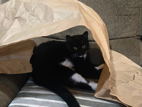 TILLY UNDER COVER