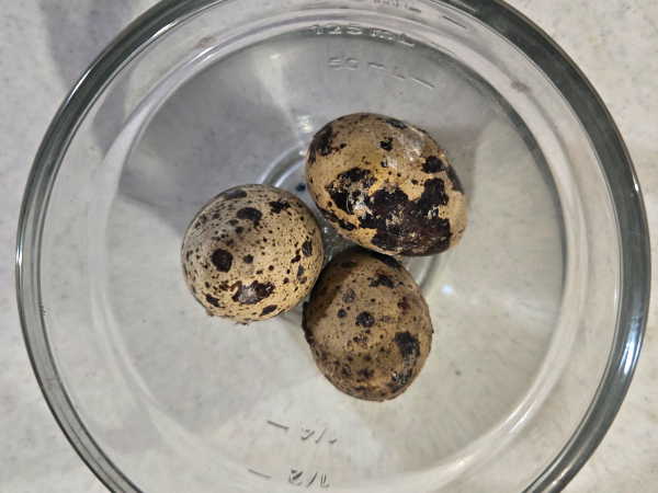 QUAIL EGGS