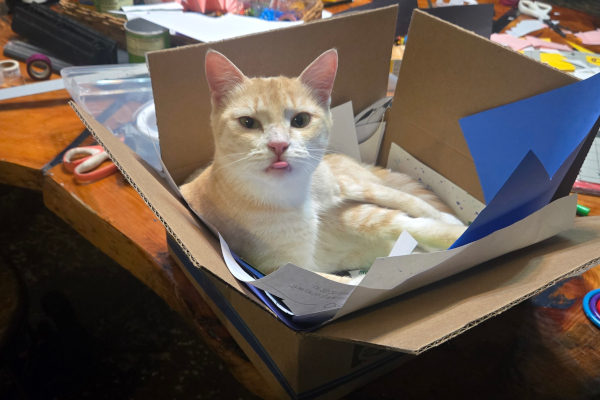 Zelda sticking out her tongue